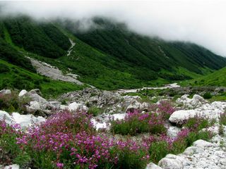 Trek To The Enchanted Valley Of Flowers Where Fairies Live