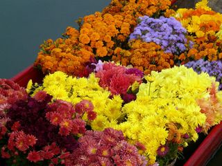 Srinagar In Jammu And Kashmir : The Glittering Jewel 