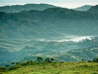 The Green Village Of Khonoma In Nagaland