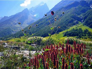 Mesmerizing Valleys Of India