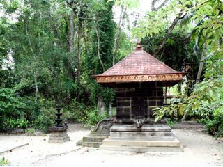  The Historical Mannarasala Sree Nagaraja Temple