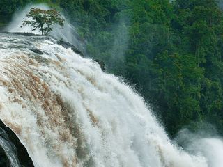 Monsoon 2020: 10 Best Places To Visit In Kerala