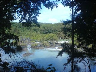 Trekking At Dandeli – An Expedition Of A Lifetime!