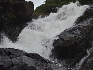 Exhilarating Hike To Dudhsagar Waterfalls!  