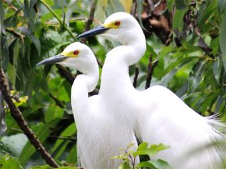Wildlife Excursion To Bandipur From Bangalore!