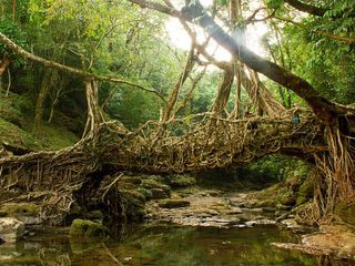 From Mesmerizing Meghalaya To Stunning Sikkim