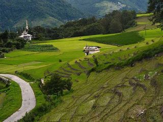 Ziro Valley – The Sequestered Paradise Of Arunachal Pradesh