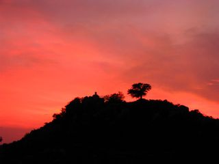 Bangalore To Yelagiri Hills – An Express Expedition!