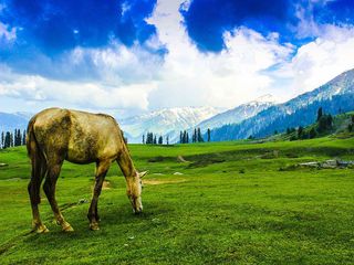 Must-Visit Places In North India For The Amazing Climate