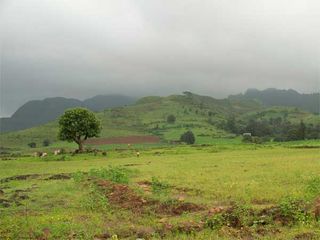 Exploring The Royal Town Of Rajpipla And Its Hidden Gems