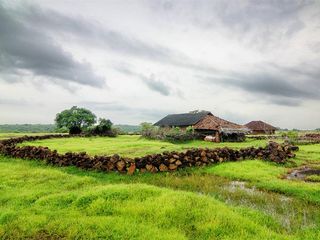 A Tranquil Getaway To Malshej Ghat From Mumbai!