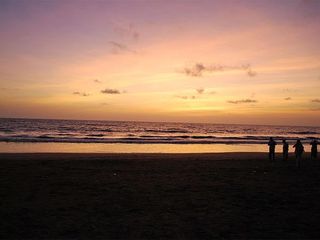 Visit The Beautiful Coastal Town Of Dahanu Near Mumbai