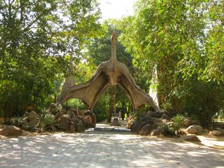 India's Very Own Jurassic Park - Indroda Dinosaur and Fossil Park