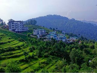 Visit Mashobra – One Of Himachal Pradesh's Best Kept Secrets