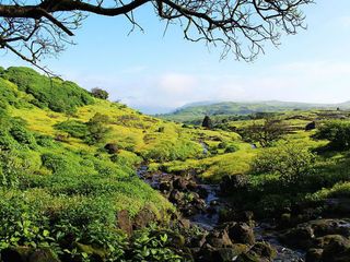 Trek To The Famous Harishchandragad And Feel Your Adrenaline Rush!