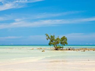 Disconnect Yourself From The World At These Remote Places 