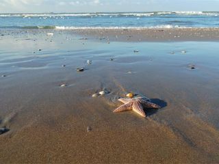 5 Stunning Beaches Of Karwar