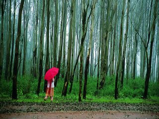 The 7 Wonders Of Madhya Pradesh 