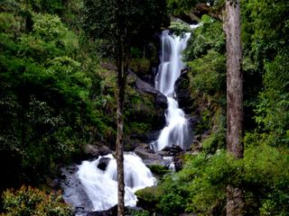 Escape To Abbey And Iruppu Falls From Bangalore
