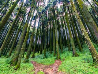 The Hidden Getaway Of Mungpoo From Darjeeling 
