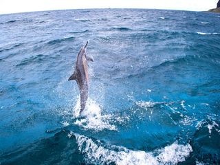 6 Best Things To Do When In Andaman 