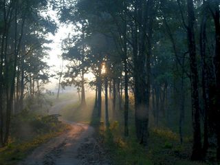 All About The Beautiful Town Of Kalpetta