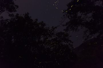 7 Night Treks That Every Adventure Buff Must Try!