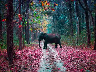 7 Ideal Weekend Getaways From Guwahati