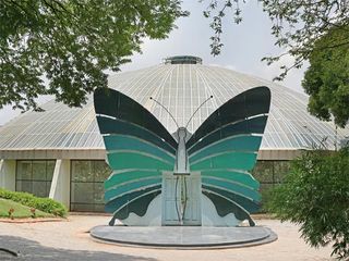 Witness The ‘Winged Beauties’ At These Butterfly Parks Of India