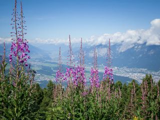 Head To Himachal Pradesh For The Colourful Phulaich Fair This September