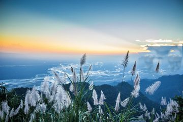 6 Things To Do When In Arunachal Pradesh 