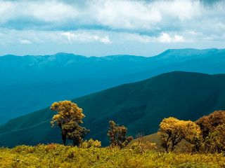 10 Ideal Places Around Bangalore To Go For A Bike Ride