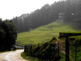 Try Golfing At Nature's Heart – Naldehra 
