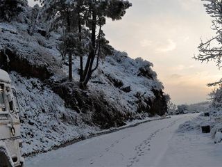 Head To Shoghi, An Offbeat Hill Station Of Himachal Pradesh