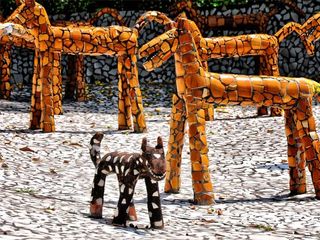 Quick Getaway To The City Of Chandigarh