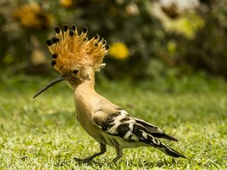 Delhi To Rajaji National Park – An Expedition Into The Wild!