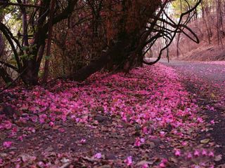 Best Places To Visit When In Nagpur