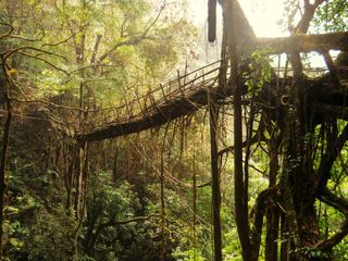 Must-See Places In Meghalaya