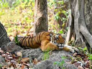 Children's Day Special: Kid-friendly Destinations In India