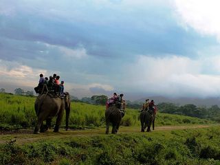 6 Best Destinations For Elephant Safaris In India