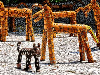 5 Unique Gardens To Visit In India