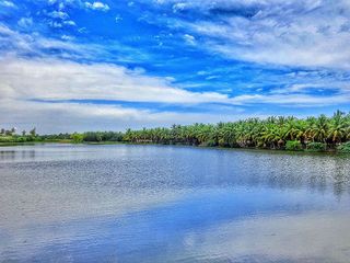 Top 5 Road Trips To Take From Chennai