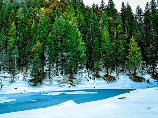 Kedarkantha – An Alluring Winter Trek!