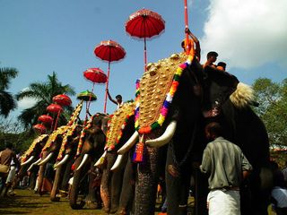 Guide To The 6 Significant Festivals Of Kerala