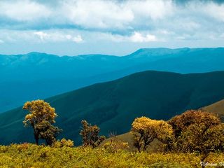 6 Ideal Road Trips To Take From Mysore