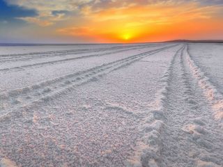 7 Best Things To Do When In Gujarat