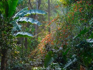 Beautiful Destinations For The Month Of November! 