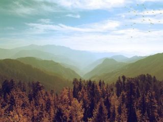 Top Winter Holiday Destinations From Delhi 