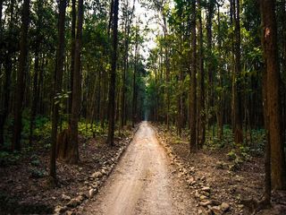 Witness The Beauty Of Wildlife At These National Parks In Uttarakhand