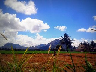 Nearest Picnic Spots Around Bengaluru